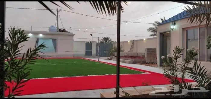 شاليه ( تحدي الطائرة ) 6