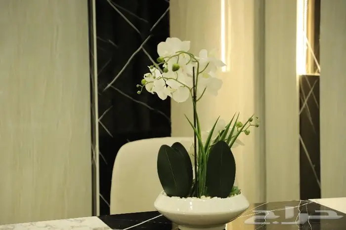 تصوير عقارات درون الاحساء الدمام الخبر القصيم 5