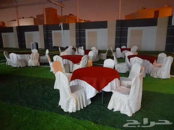 تاجير كراسي ملكي كراسي مخمل 4