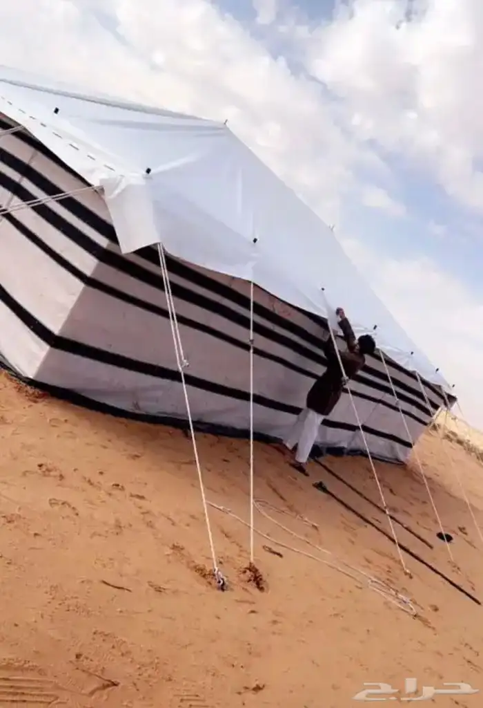 البيع البيوت الشعر 2