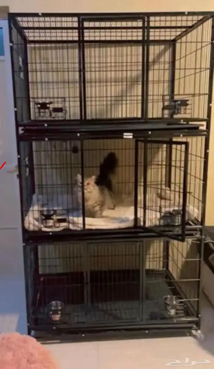 قفص انتاج كاسكو 2