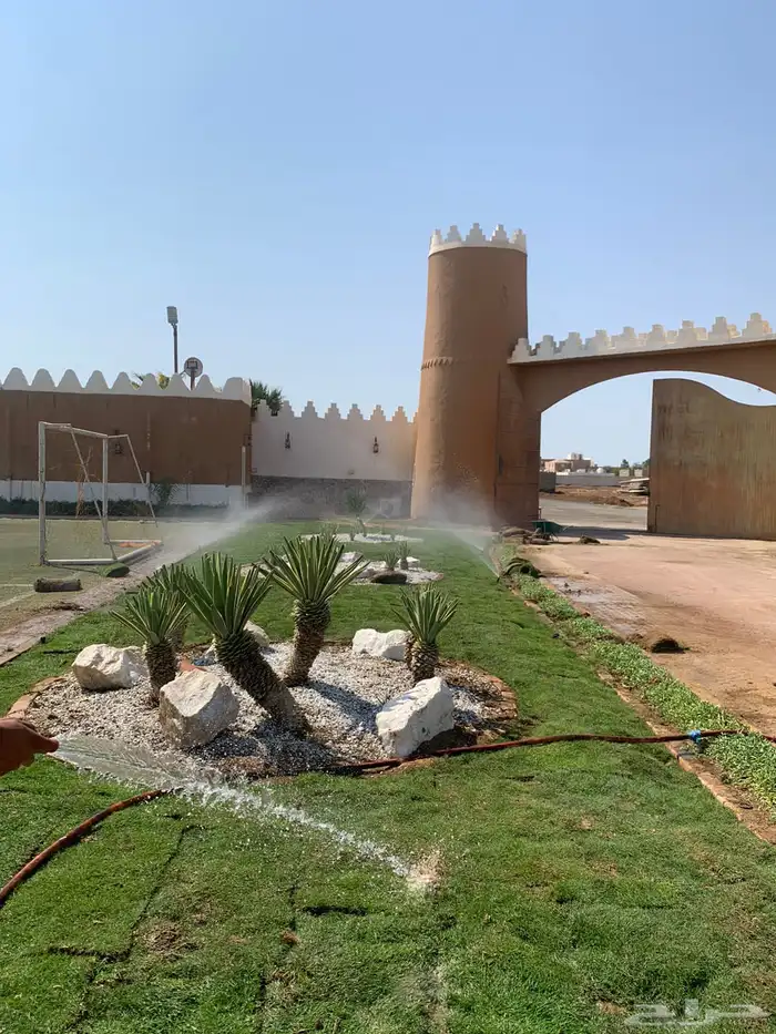 نجيله ثيل عشب اخضر C2000 صافي 22