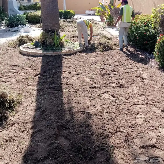 نجيله ثيل عشب اخضر C2000 صافي 3