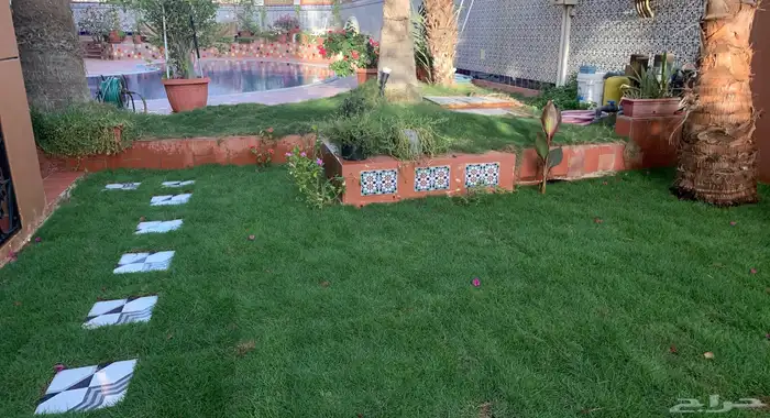 نجيله ثيل عشب اخضر C2000 صافي 43