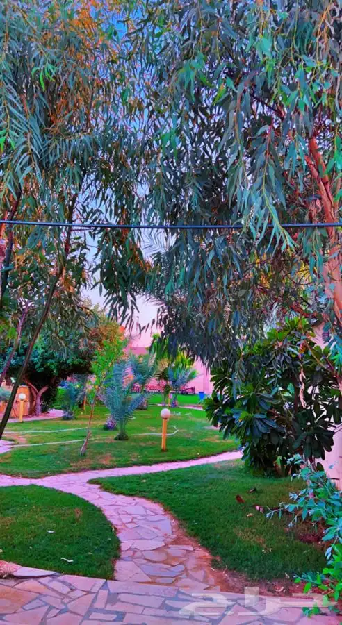 منتجع ومزرعه عبق البيلسان 0