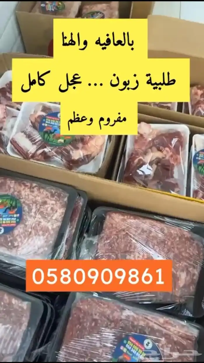 حاشي بلدي وعجول بلدي واغنام بلدي على الشرط والامانه 7