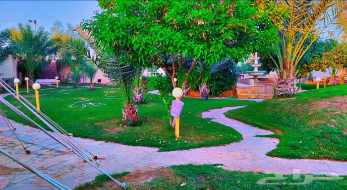 منتجع ومزرعه عبق البيلسان 3