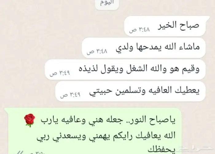سمبوسه جاهزه ومفرزنه 14