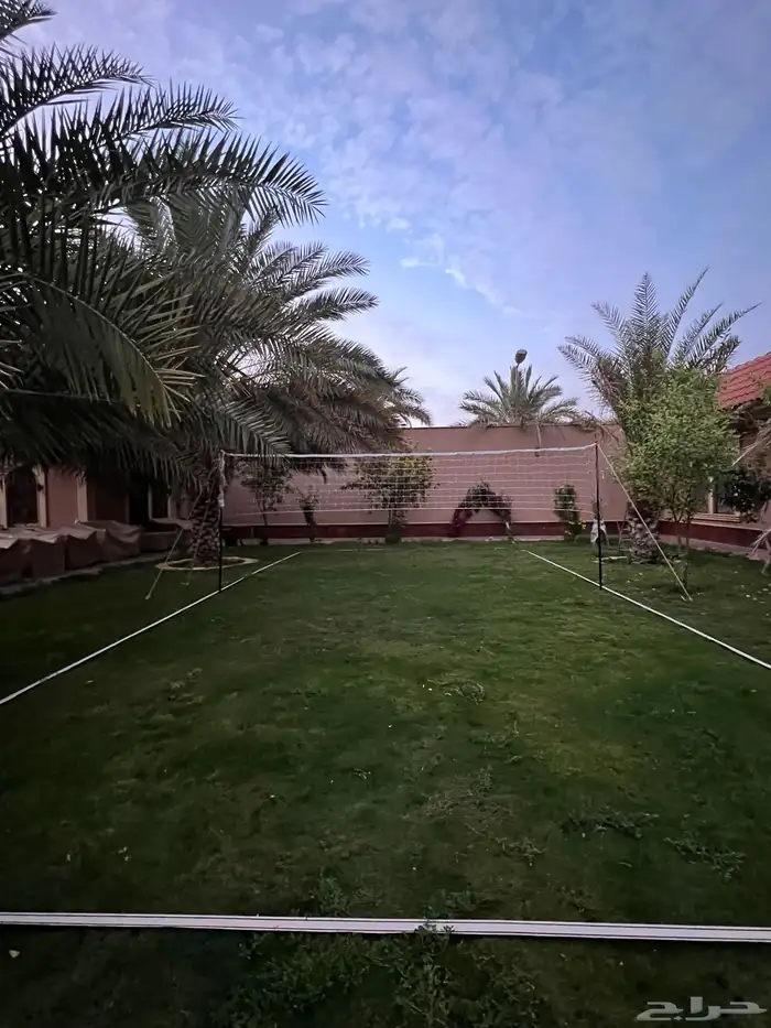 ملاعب كرة طائره بيع اجار 2