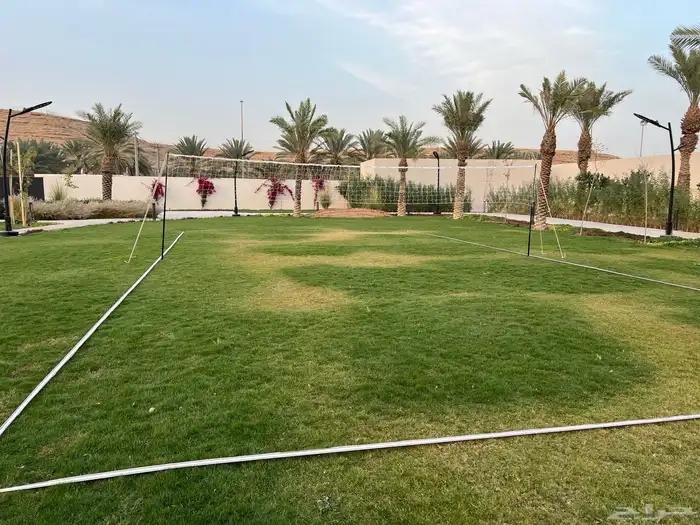 ملاعب كرة طائره بيع اجار 4