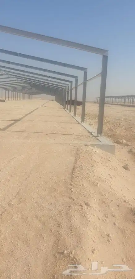 مقاول حضائر دواجن 5