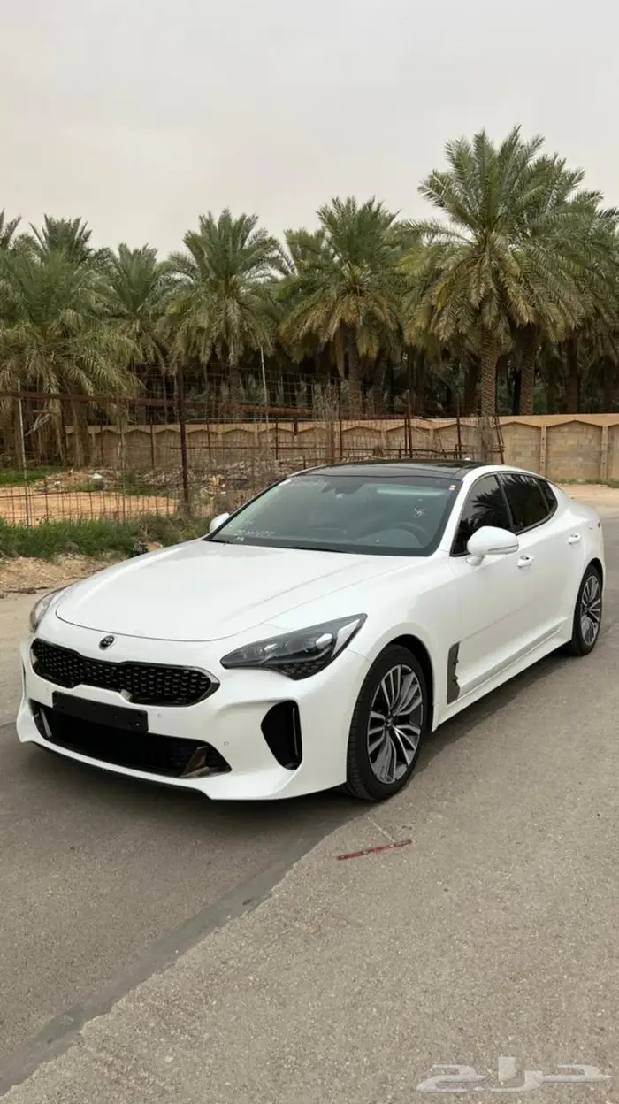 كيا ستنيجر 2018 ديزل فل الفل حد 87 ألف 1