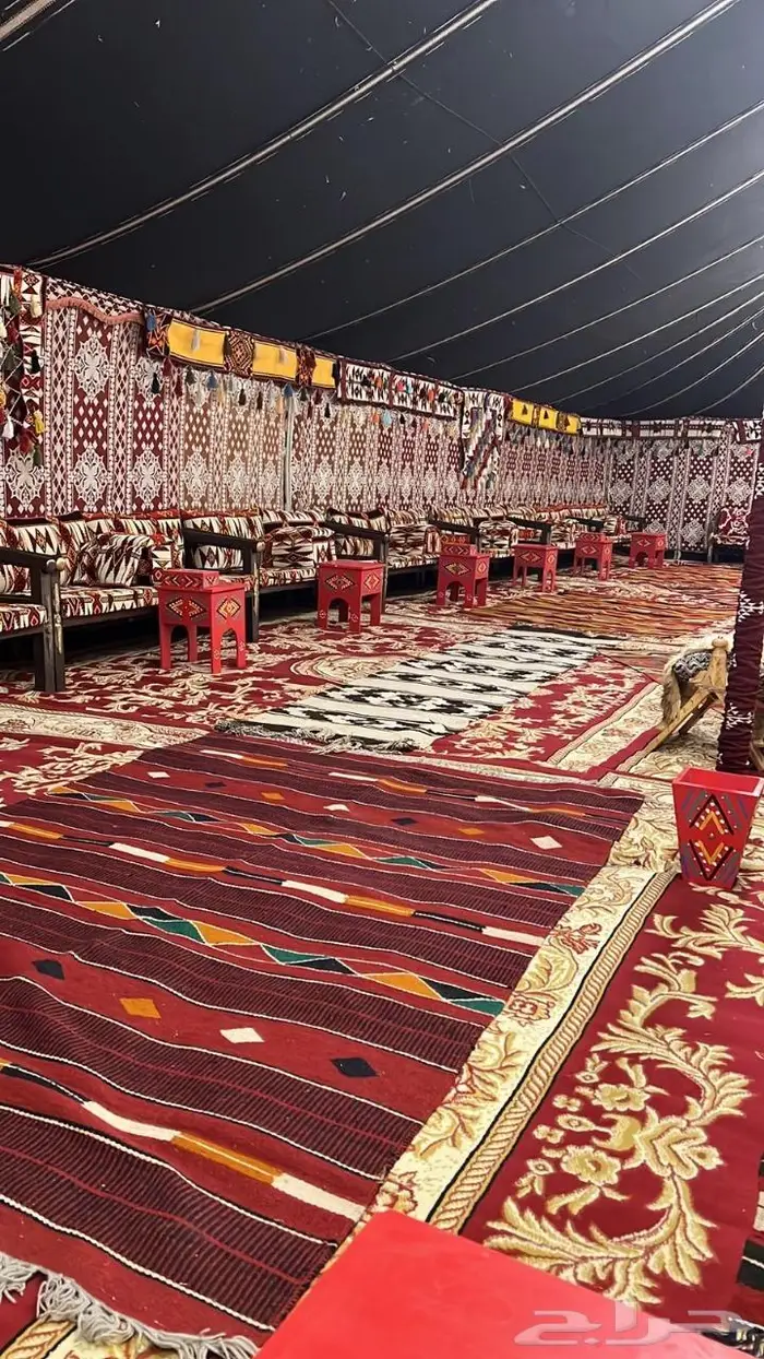 بيوت شعر جميع المقاسات بيت شعر كبير بيوت شعر كبيره 1