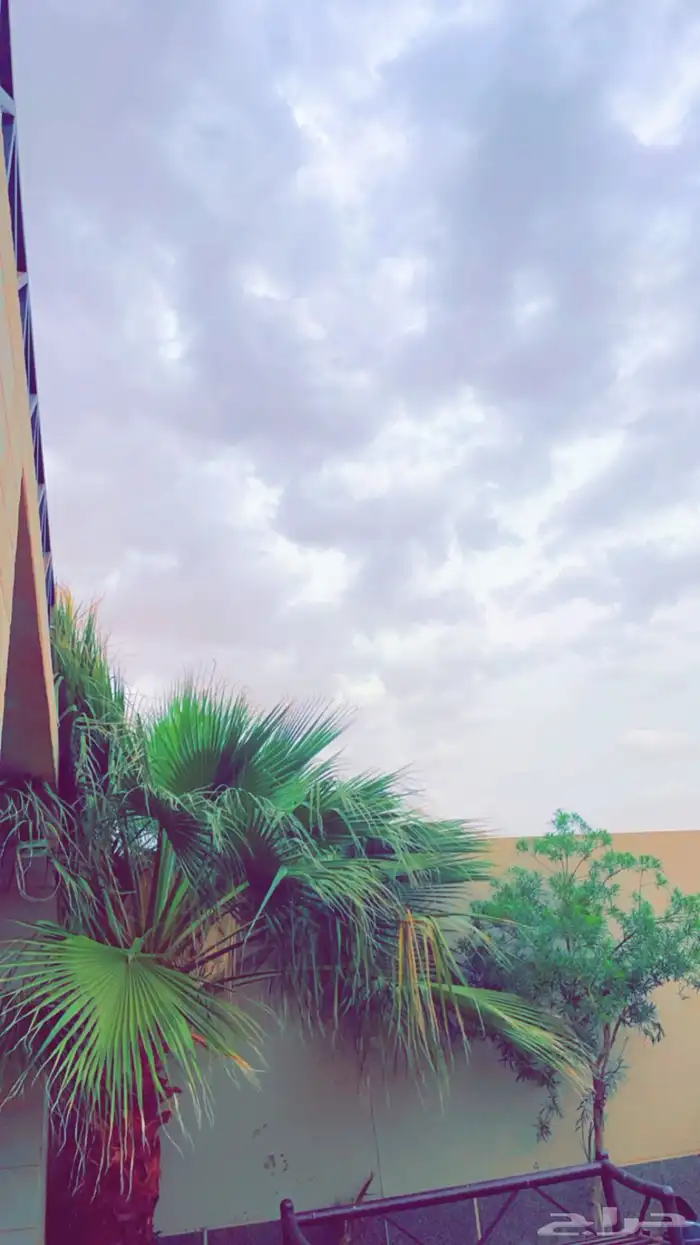 شاليه مودل1 للاجار اليومي- مسبح داخلي 20