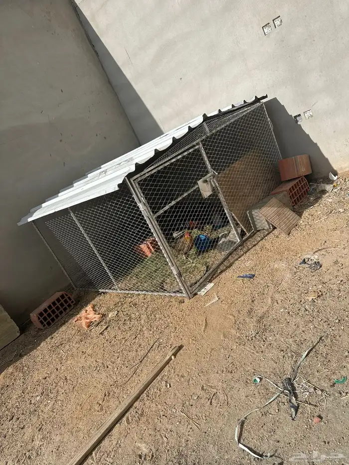 شبك جديد 2