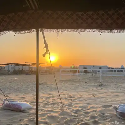أيواء خيل 2