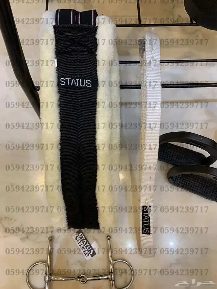 سرج ستيتوس 36