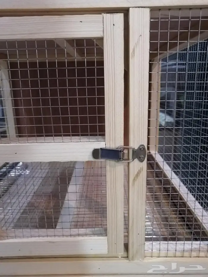 قفص عصافير او حمام دوري 12