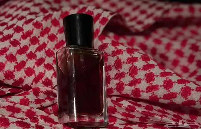 إعلان لهواة العود الجادين في الشراء. 0