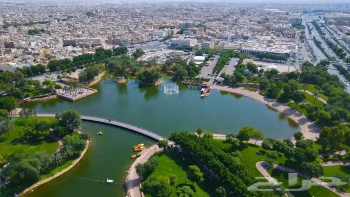 مصور درون محترف 1
