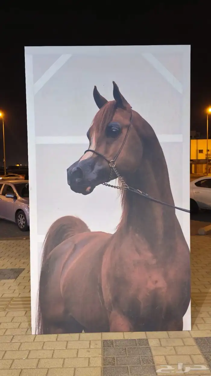 لوحات قماش على اي تصميم انت تببه 3