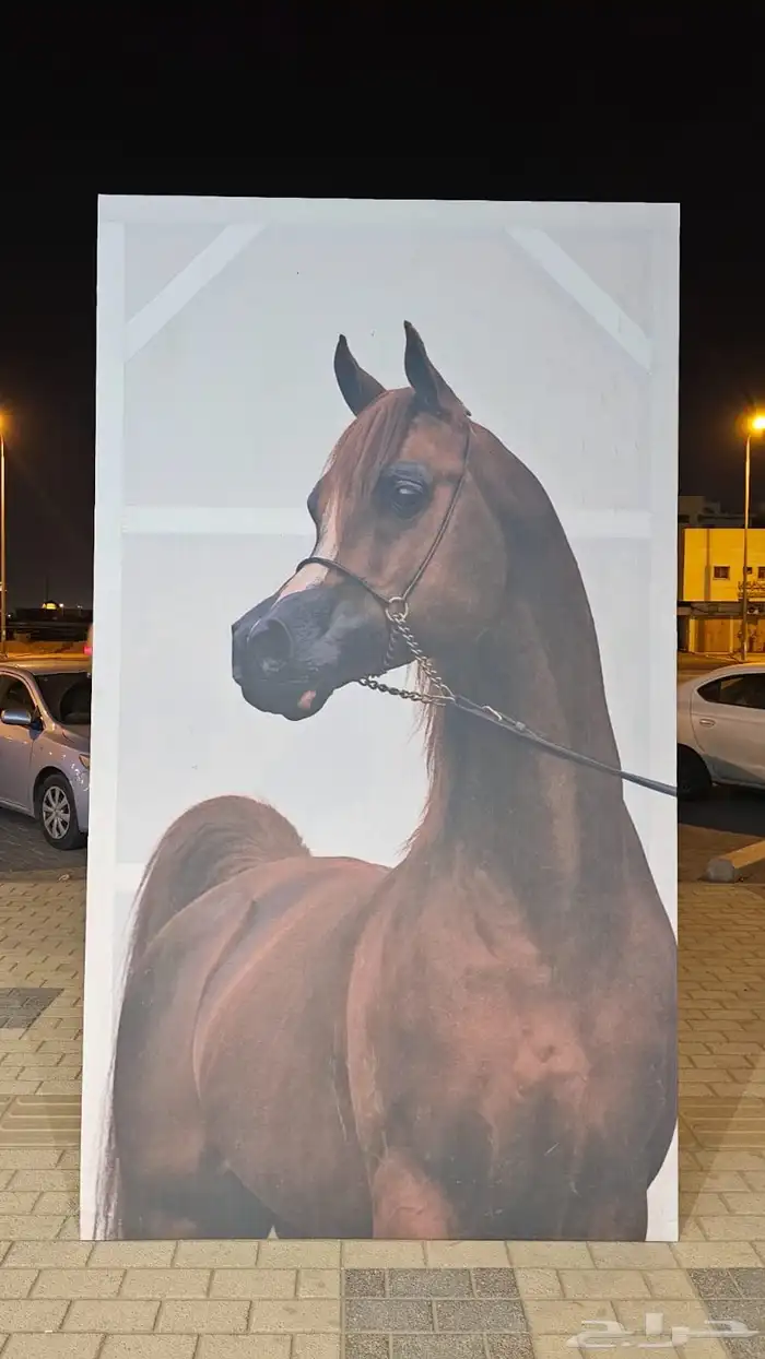 لوحات قماش على اي تصميم انت تببه 4