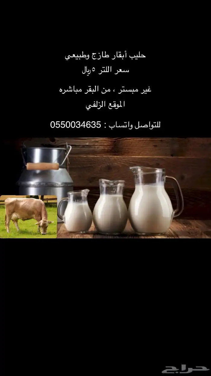 حليب أبقار طازج يوميا  الموقع الزلفي 0