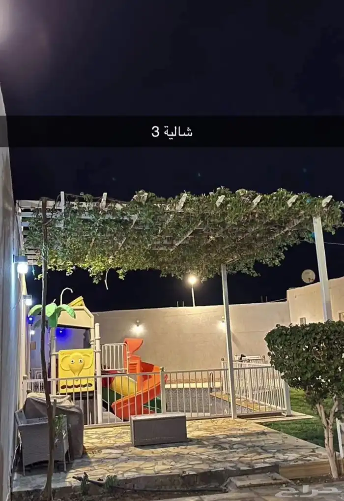 منتجع النخلة في الخرج العفجة 11