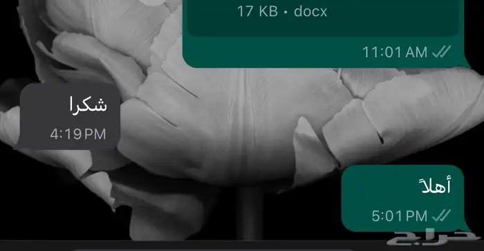 مكتب ترجمة معتمد 12