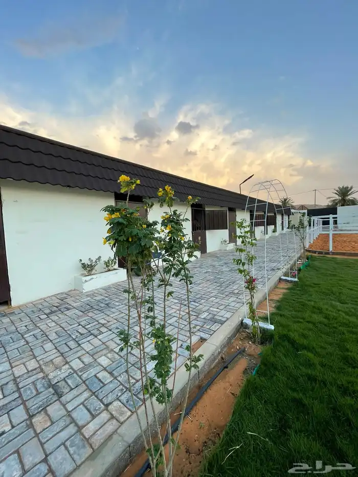 ايواء خيل في منتجع ديراب 1