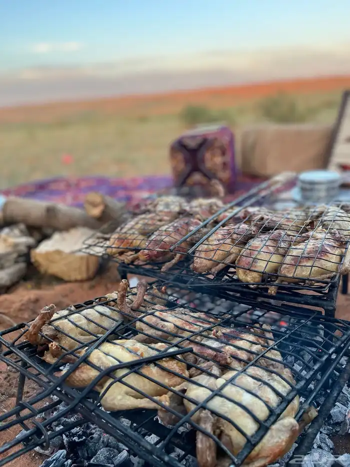 للبيع زغليل فرنسي 2