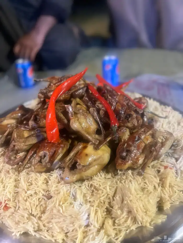 للبيع زغليل فرنسي 1