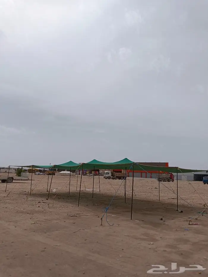 ظلال غنم شبك ظل اصلي ظلال حلال 1