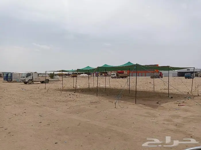 ظلال غنم شبك ظل اصلي ظلال حلال 0
