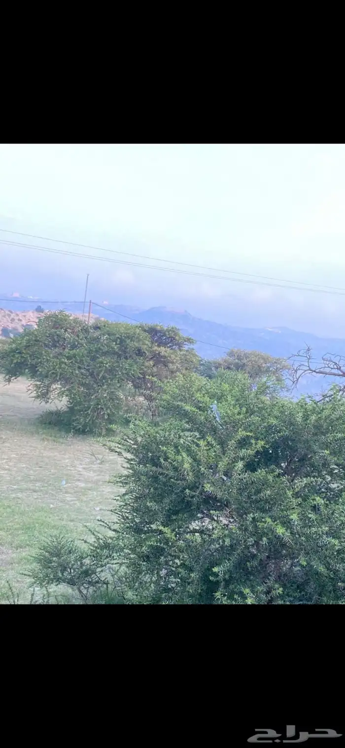 اكواخ ريف تنومة 5