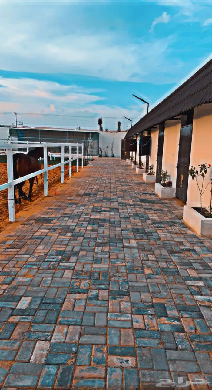 ايواء خيل في منتجع ديراب 4