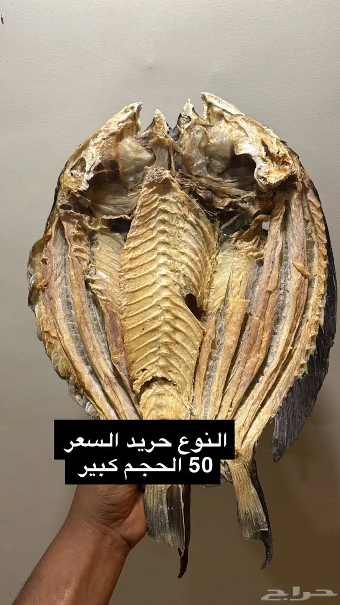 سمك ناشف ( مجفف) النوع حريد وابو قرن 3