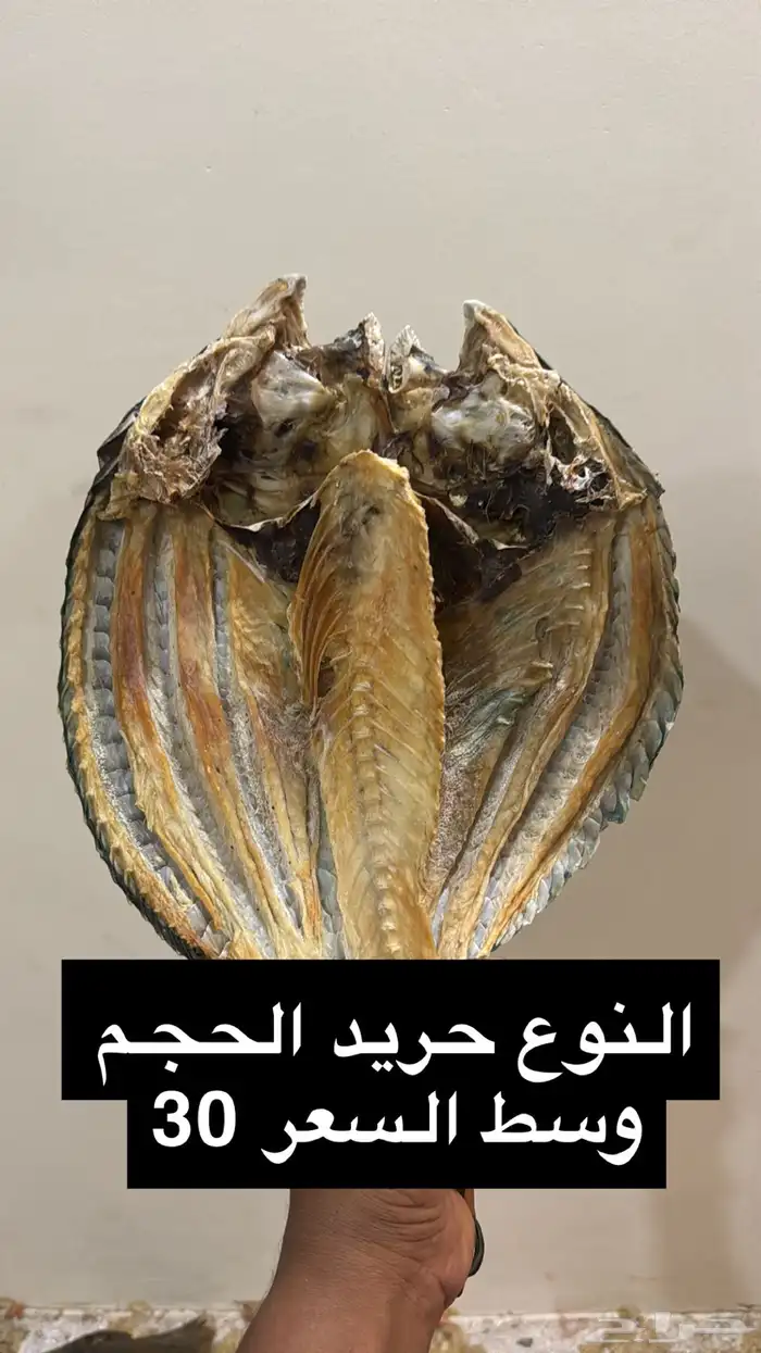 سمك ناشف ( مجفف) النوع حريد وابو قرن 4