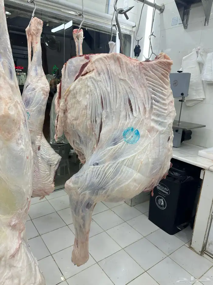 ملحمة نوادر الجزيرة للحوم الطازجة 50