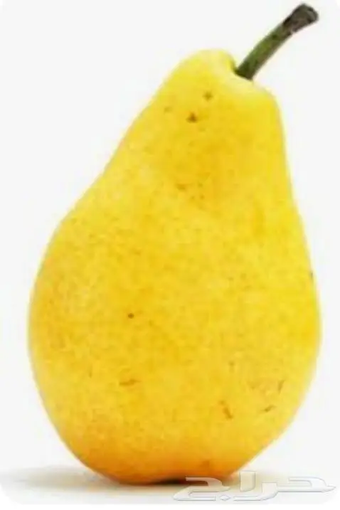 شتلات كمثرى فور ويل وكوشي اسباني 20 ريال 1