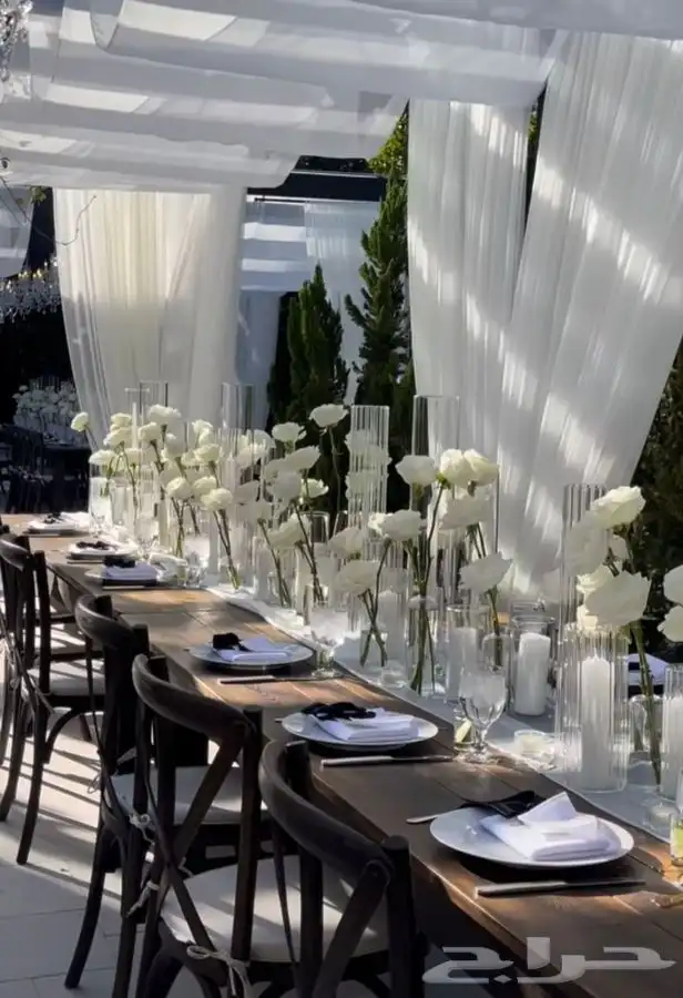 تاجير كراسي 0