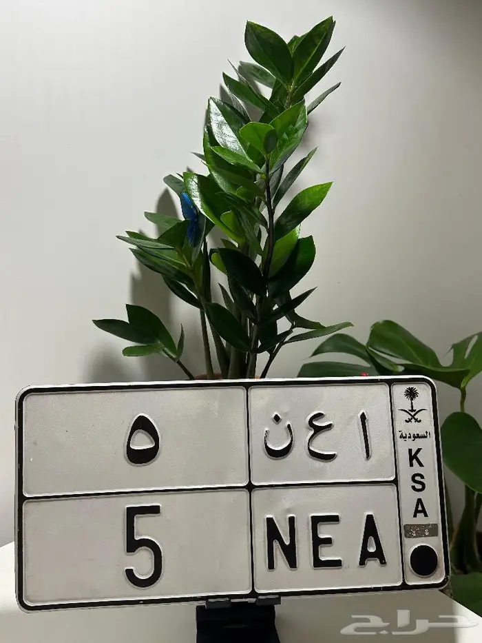 لوحه مميزه رقم فردي 0