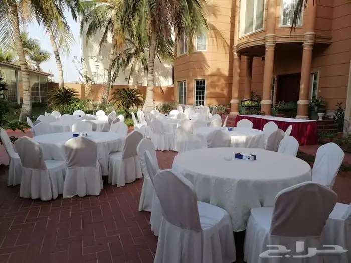 تاجير كراسي 7