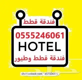 فندقة أردني أصيل 61 60 24 0555 وقت سفركم - قطط - طيور 1