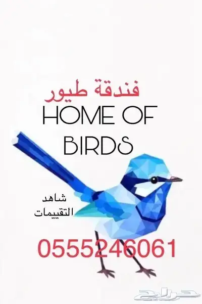 فندقة أردني أصيل 61 60 24 0555 وقت سفركم - قطط - طيور 2