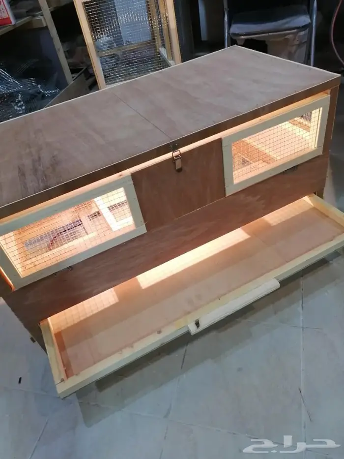 حظانة صوص إنتاج دواجن 0