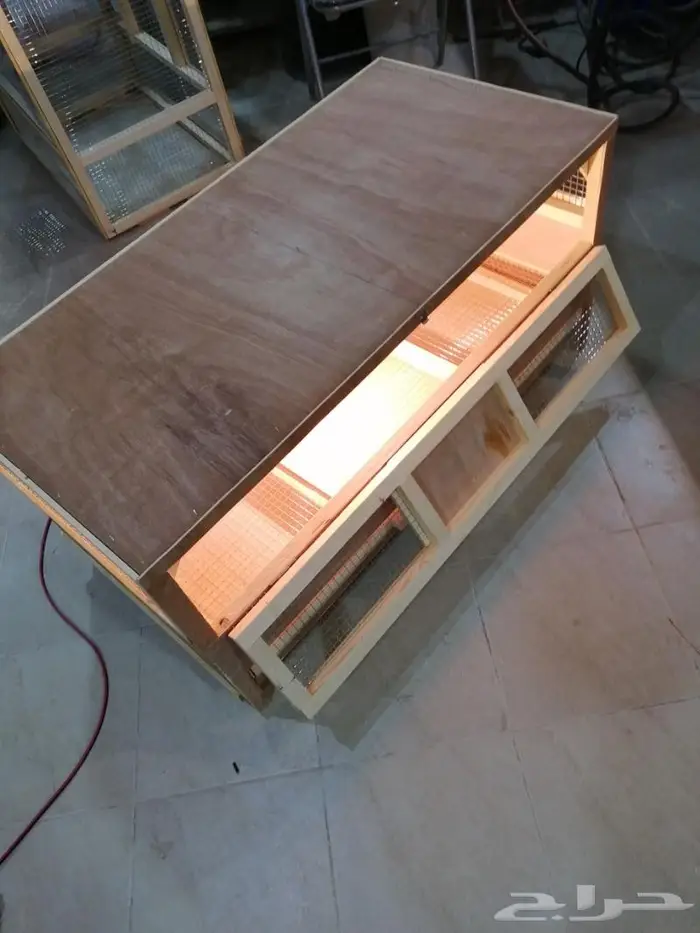 حظانة صوص إنتاج دواجن 2