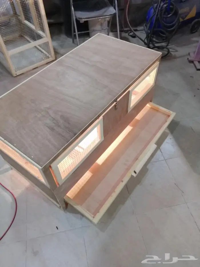 حظانة صوص إنتاج دواجن 1