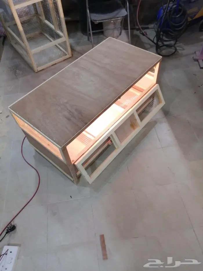 حظانة صوص إنتاج دواجن 3