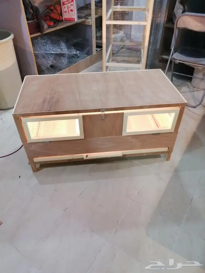 حظانة صوص إنتاج دواجن 4